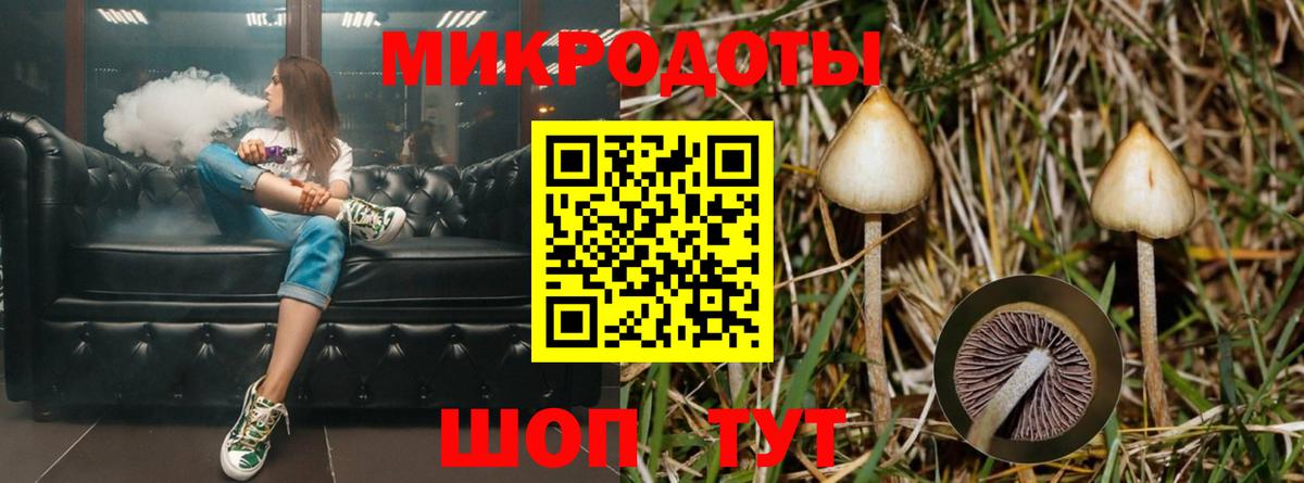 Десногорск  Псилоцибиновые грибы Psilocybe  Вход с VPN 